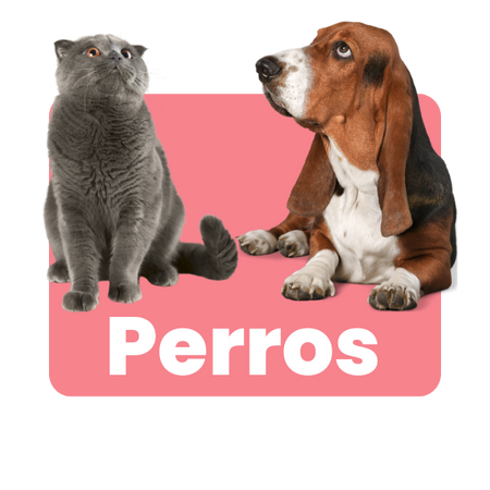 Perros